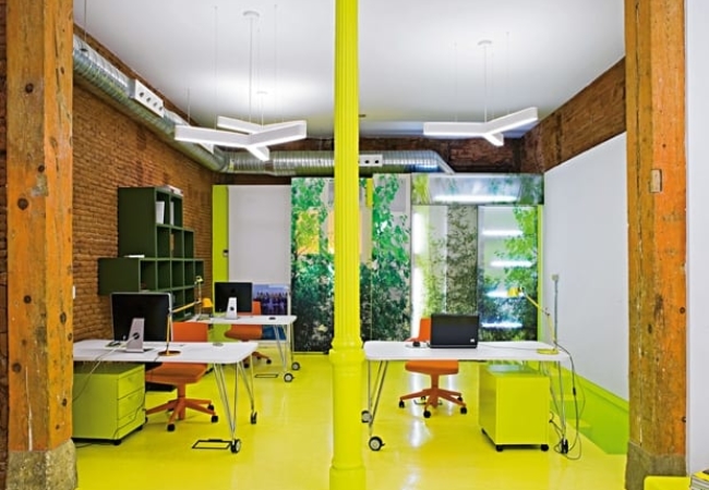 Brijuni's lime green HQ