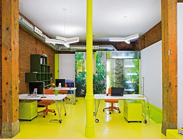 Brijuni's lime green HQ