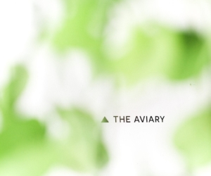 In conversation with Stella Boyland of Vancouver-based co-working hub The Aviary
