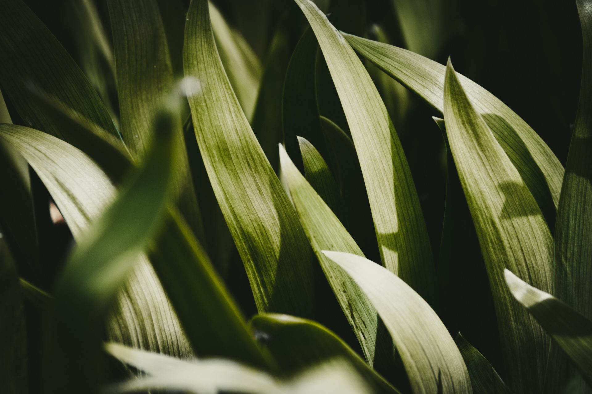 Feel Good Friday: The new green age of workplace design - Workplace | Design - Vimarsana News