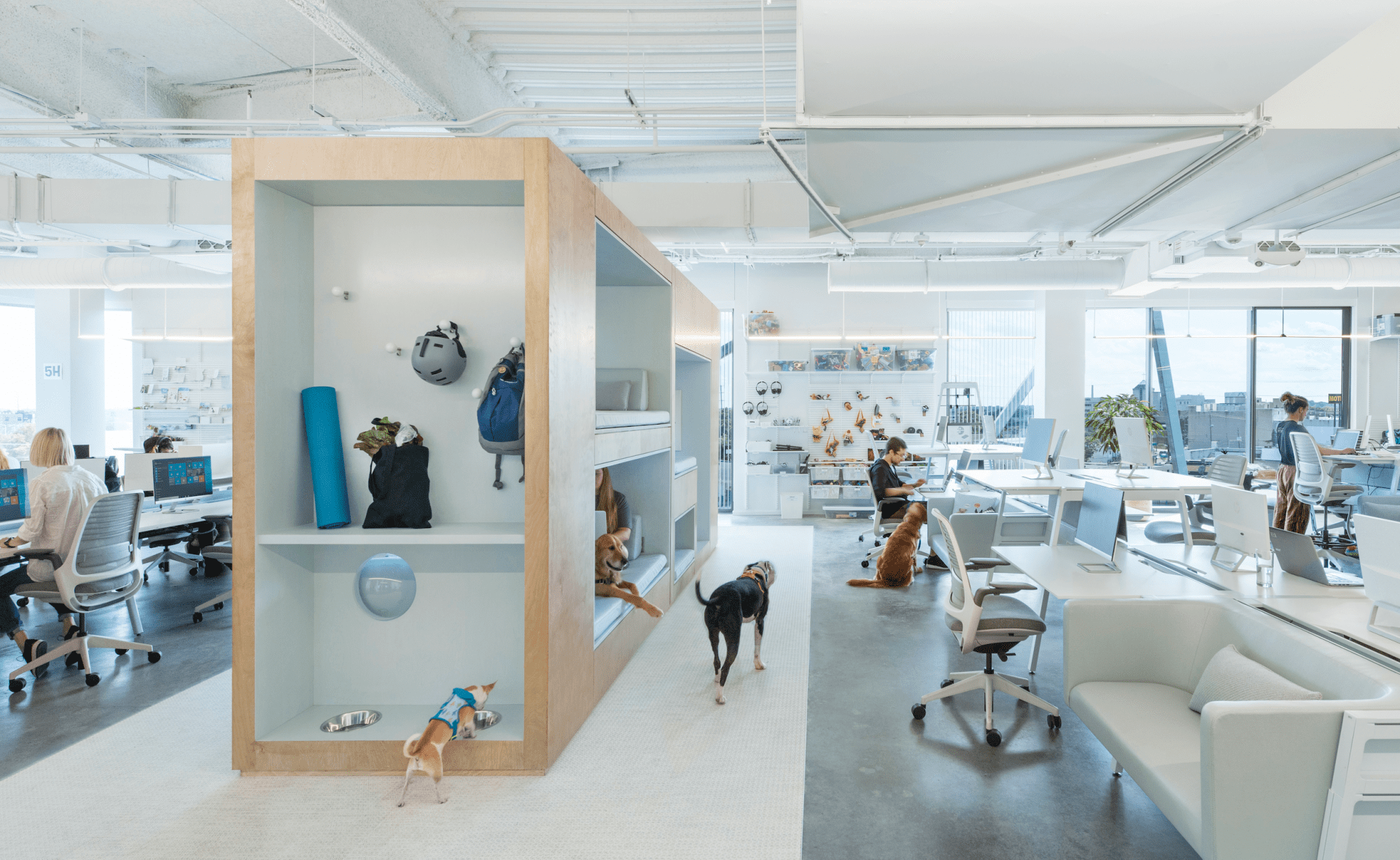 Dog-friendly workplace, Britni Stone, NBBJ, OnOffice magazine