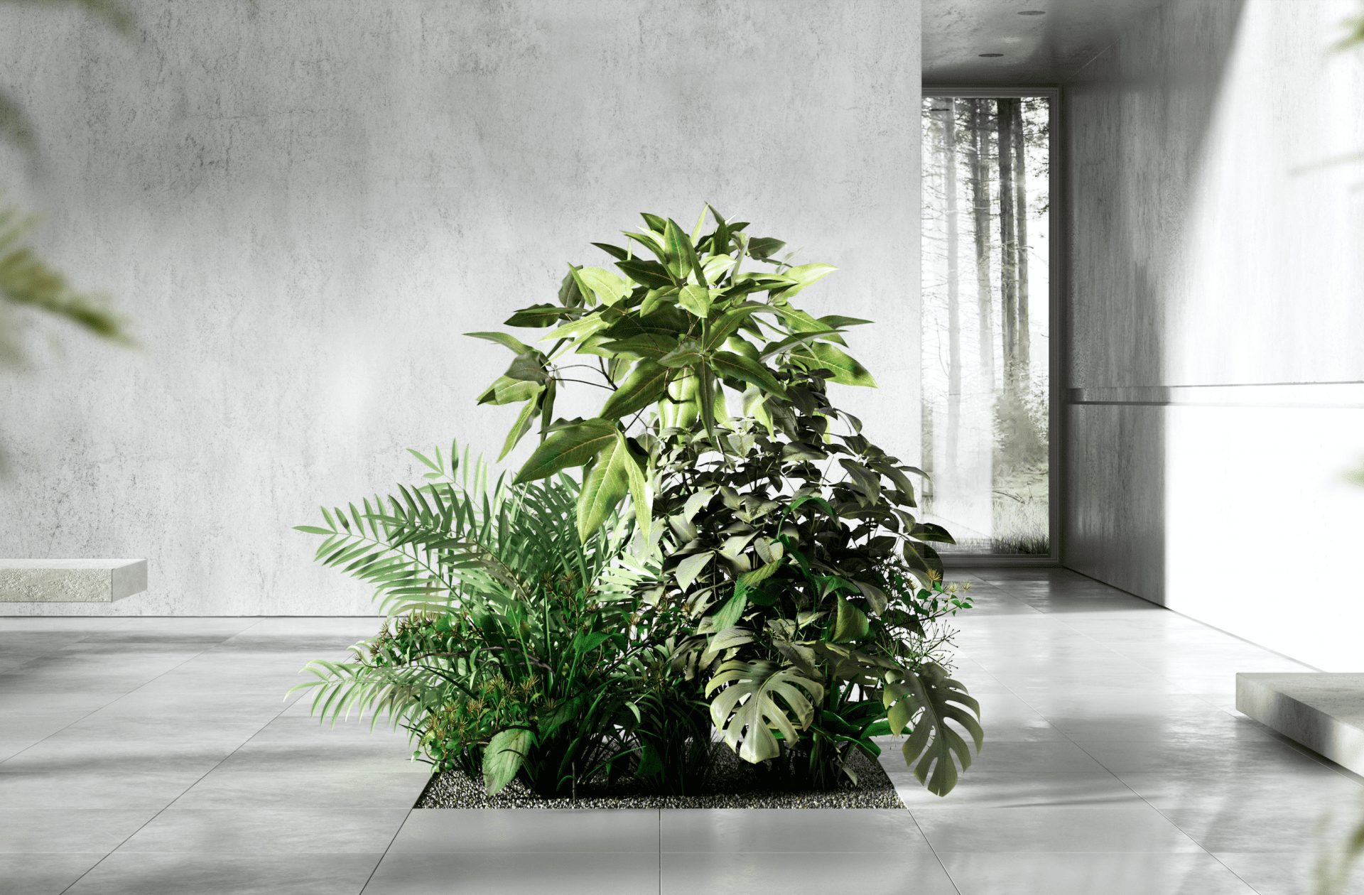 Floora, biophilia, OnOffice magazine