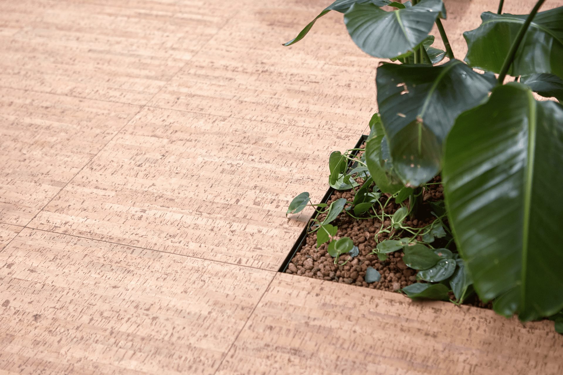 Floora, biophilia, OnOffice magazine