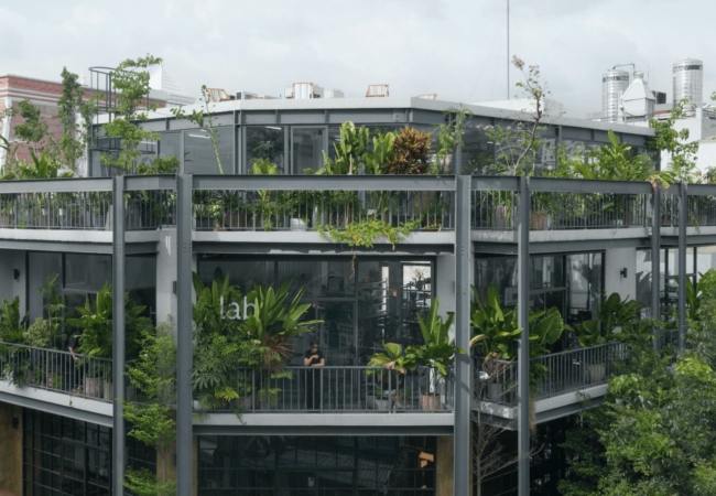 This leafy Vietnamese office brings nature into the workplace