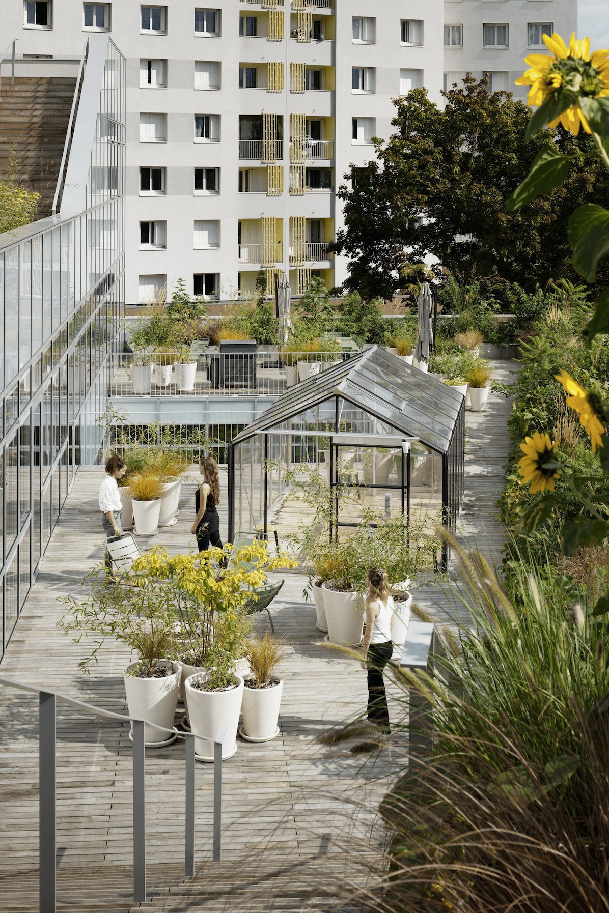 atelier du pont, paris, office interiors, workspace, paris rooftop, vegetable garden, sustainability, OnOffice magazine