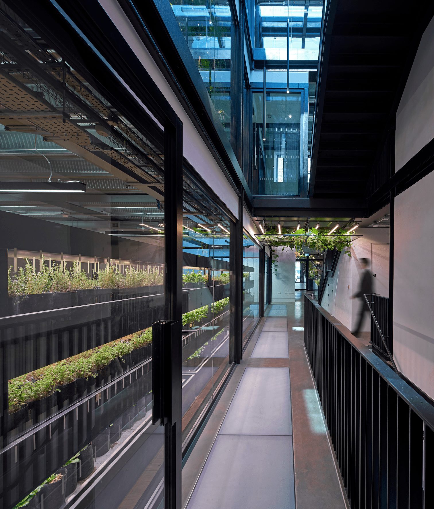 plantworks, london, kono designs, marek wojciechowski architects, sustainability, biophilia, office interiors, OnOffice magazine