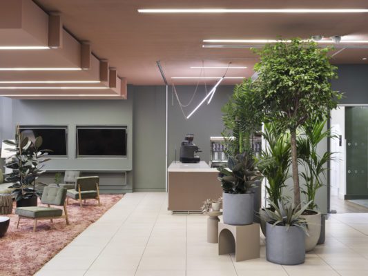 Biophilic design and a sustainable approach to reuse define a new shared workspace in London