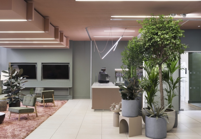 Biophilic design and a sustainable approach to reuse define a new shared workspace in London