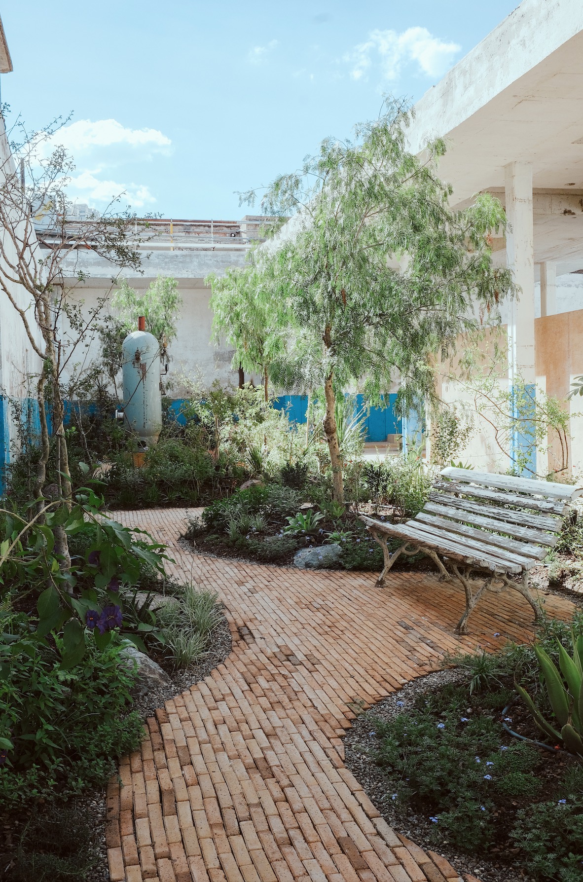 Hercules Hotel Mexico garden